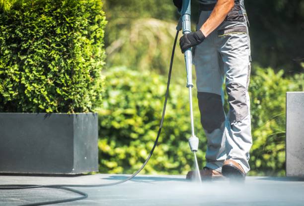 Best Gutter Cleaning  in Vermillion, SD